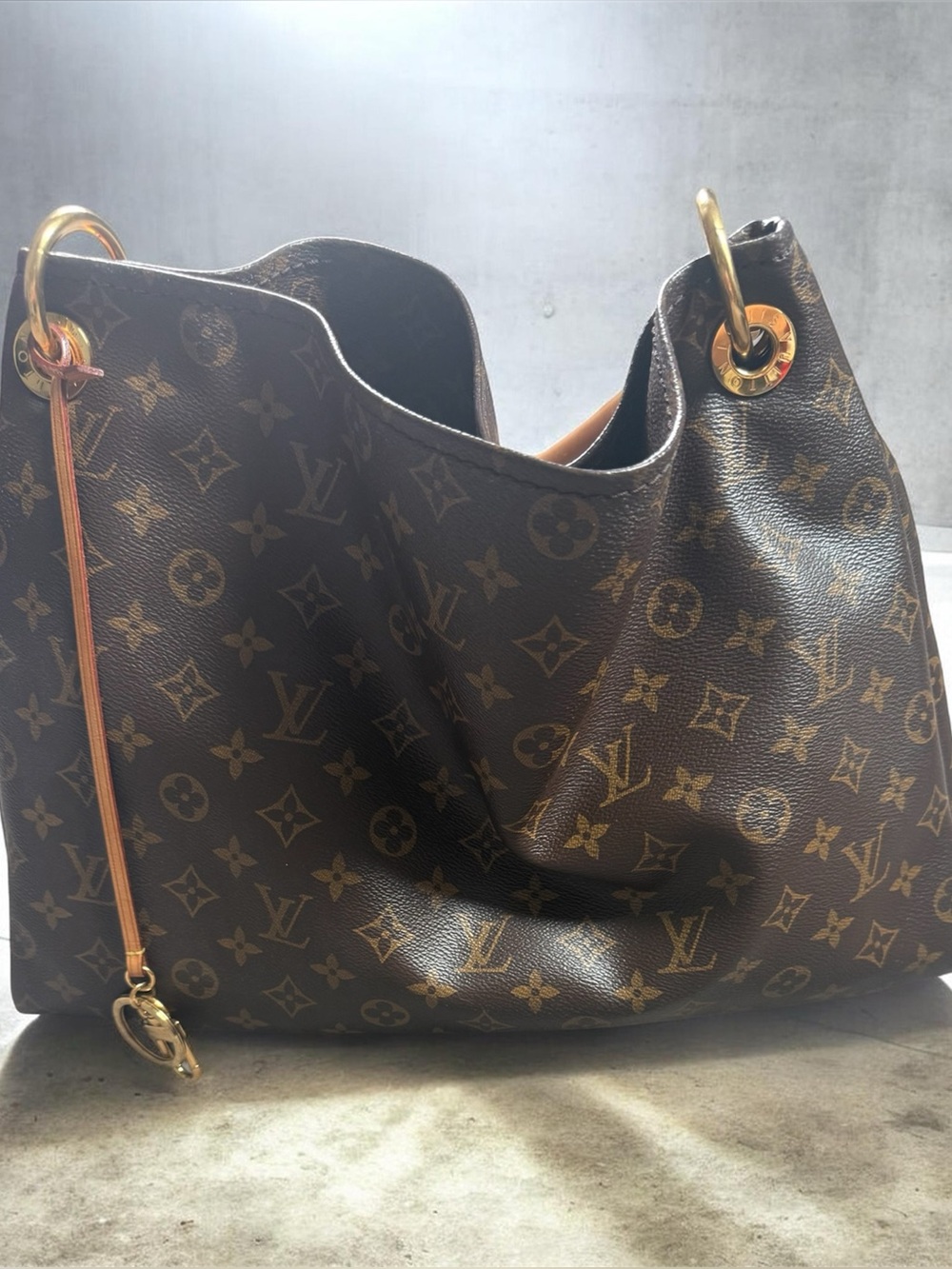 Louis Vuitton Brown Artsy MM